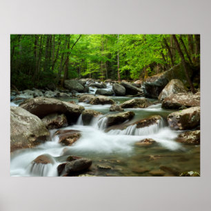 Affiche Little Pigeon River à Greenbrier
