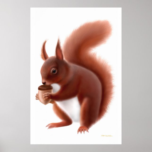 Affiche Little Red Squirrel Print (Devant)