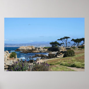 Affiche Littoral de baie de Monterey, photo de ressort