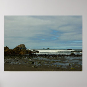 Affiche Littoral Pacifique au Parc national de Redwood