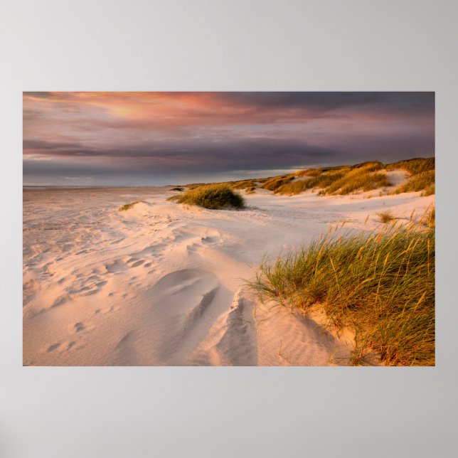 Affiche Littoral | Saltum Beach, Danemark (Devant)