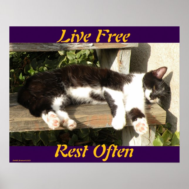 Affiche "Live Free", Smiler, cute, cat, gift (Devant)