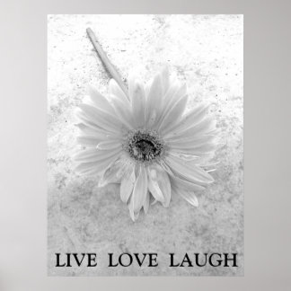 Affiche Live Love Laugh Black and White Gerber Daisy