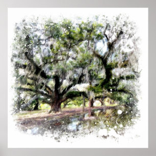 Affiche *~* Live Oak New Orleans Living Oaks Art Painting