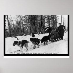 Affiche Livraison du courrier par une équipe de chiens 190