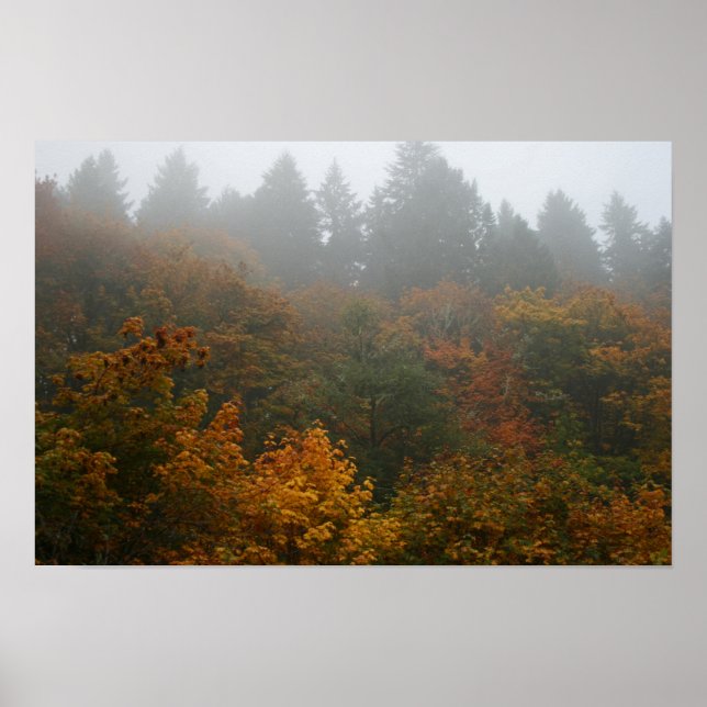 Affiche Livre d'affiche de la Serenade d'automne (Matte) (Devant)