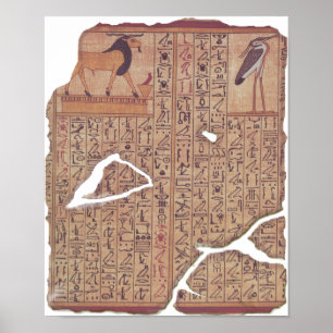 Affiche Livre des Morts - Ani