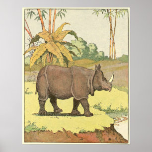 Affiche Livre d'histoire de Rhinoceros illustré