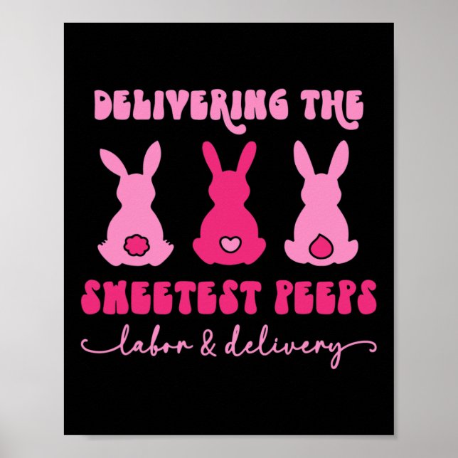 Affiche Livrer Les Bunnies Les Plus Douces Nur De Livraiso (Devant)