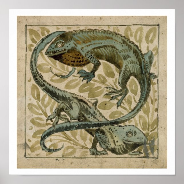 Affiche Lizards, conception pour un carrelage (avec papier (Devant)