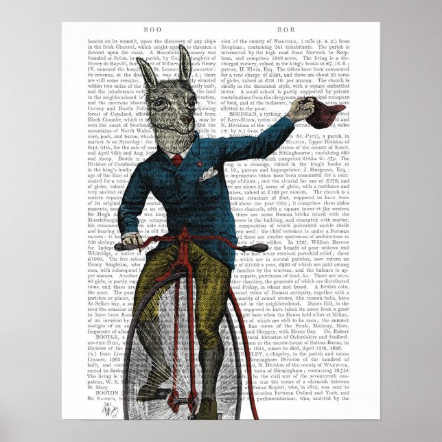 Affiche Llama à vélo (Devant)