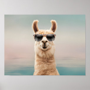 Affiche Llama Arrière - plan pastel avec lunettes de solei