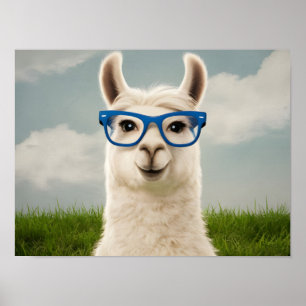 Affiche Llama blanche avec lunettes bleues