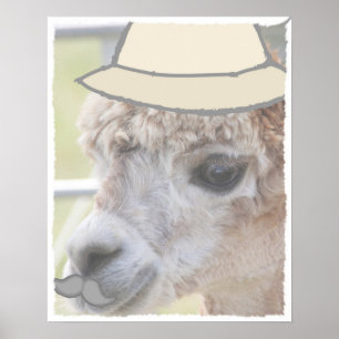 Affiche Llama de fête avec moustache