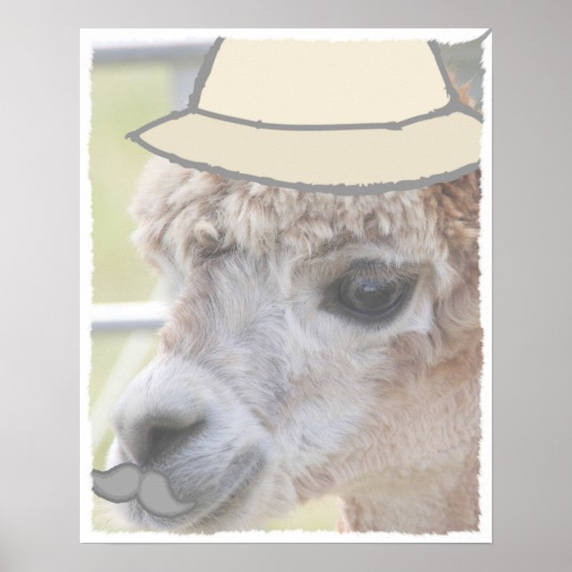 Affiche Llama de fête avec moustache (Devant)