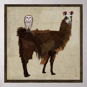 Affiche LLAMA & OWL