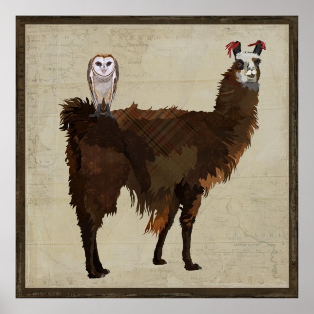 Affiche LLAMA & OWL (Devant)