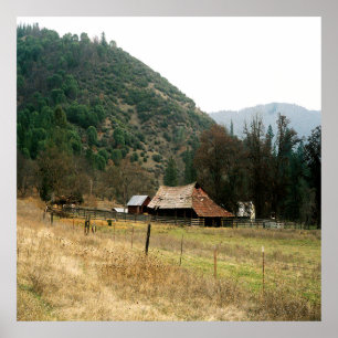 Affiche Llama Ranch........