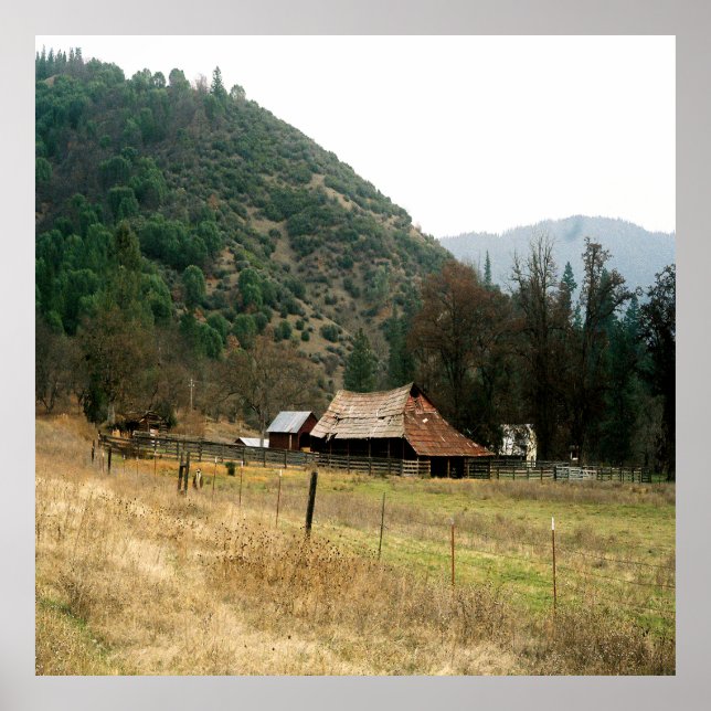 Affiche Llama Ranch........ (Devant)