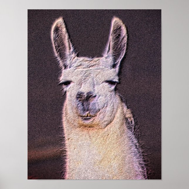 Affiche Llama Sleepy Visage Animal Art (Devant)