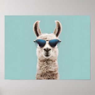 Affiche Llama surréaliste avec lunettes de soleil sur Arri
