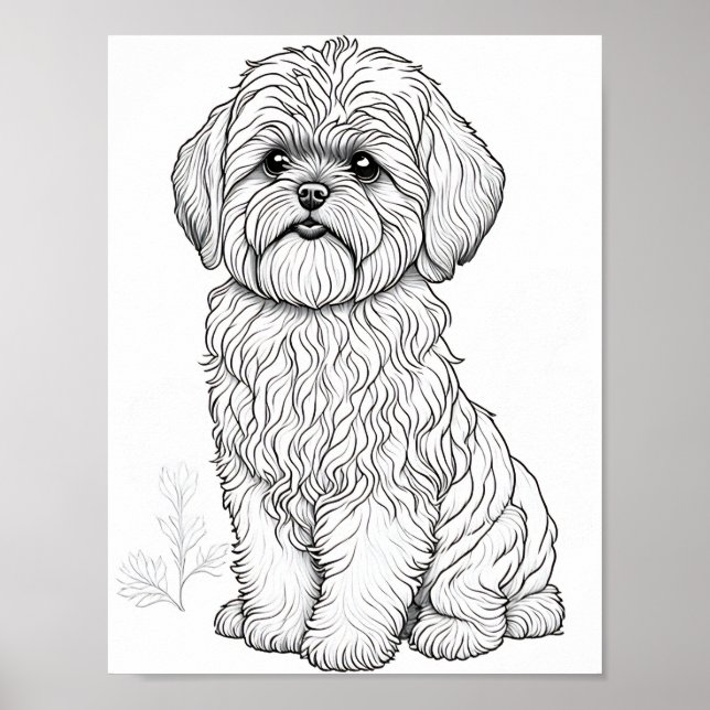 Affiche Llasa Apso Chien Adulte Coloration (Devant)