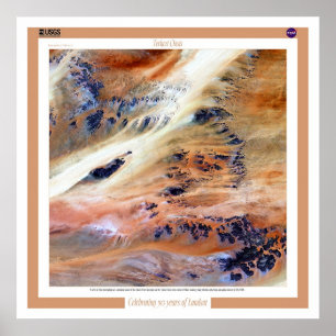 Affiche L'oasis de Terkezi