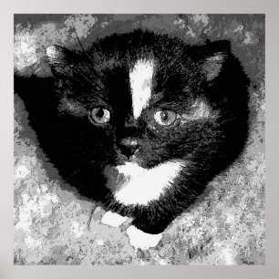 Affiche L'observateur silencieux