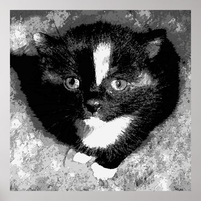 Affiche L'observateur silencieux (Devant)