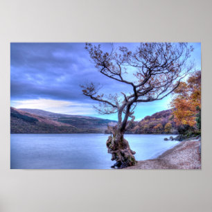 Affiche Loch Lomond, Ecosse