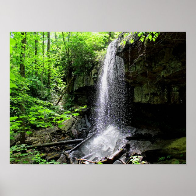 Affiche Lodge Falls, Alabama (Devant)