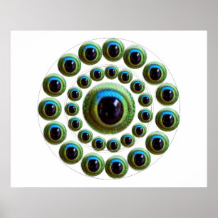 Affiche L'oeil du dragon - collection de Chinois de