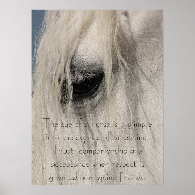 Affiche L'oeil nature de Gulliver (Devant)