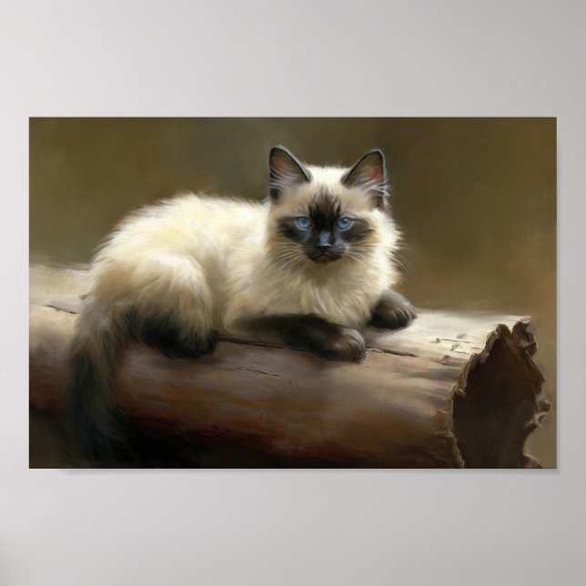 Affiche Log Lounger Siamese Kitten (Devant)