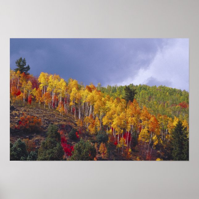 Affiche Logan Canyon dans l'Utah en automne avec passage (Devant)