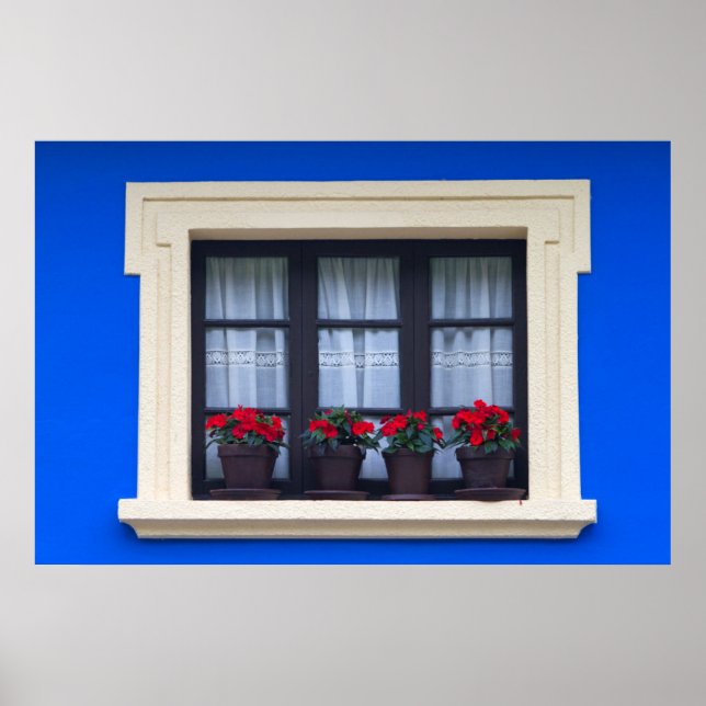 Affiche Logement résidentiel avec des fleurs dans les fenê (Devant)