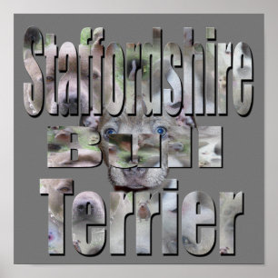 Affiche Logo photo Staffordshire Bull Terrier,
