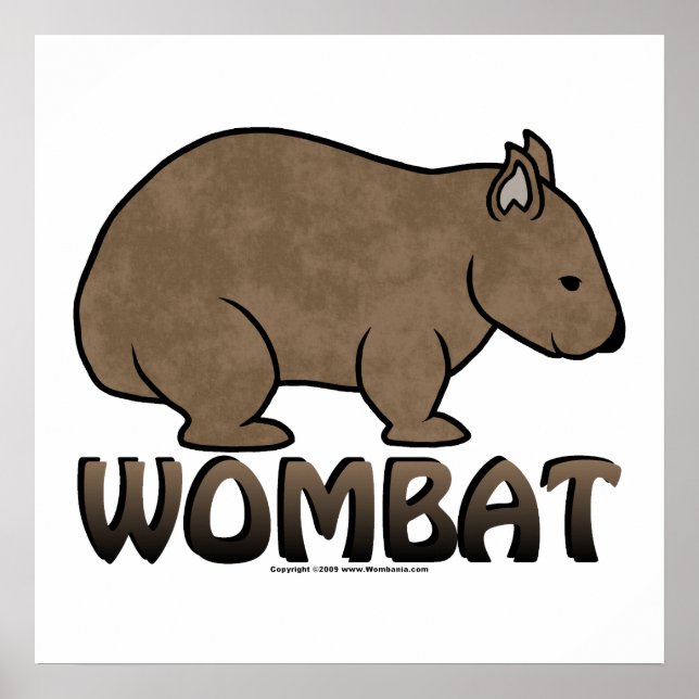 Affiche Logo Wombat II (Devant)