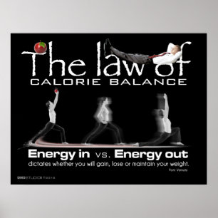 Affiche Loi de copie d'équilibre de calorie