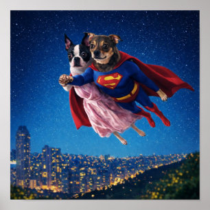 Affiche "Lois & Kal"