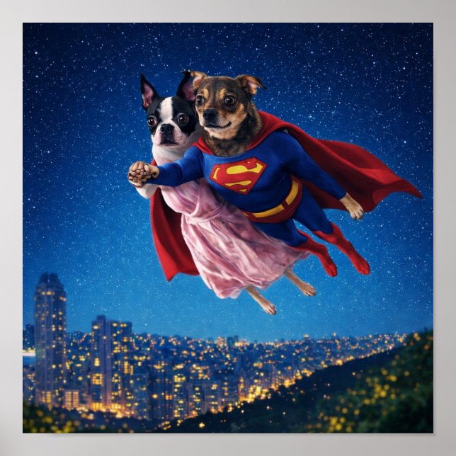 Affiche "Lois & Kal" (Devant)