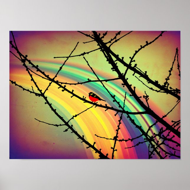 Affiche L'oiseau et l'arc en ciel (Devant)