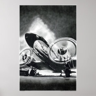 Affiche L'oiseau Gooney