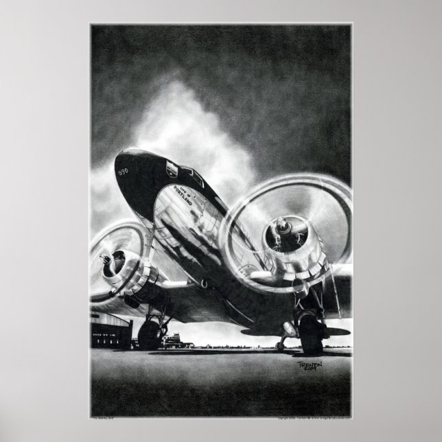 Affiche L'oiseau Gooney (Devant)