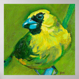 Affiche L'Oiseau Vert Au Beak Bleu