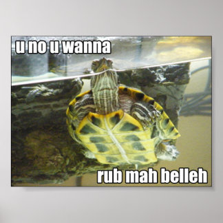 Affiche LOLturtle - rub mah belleh