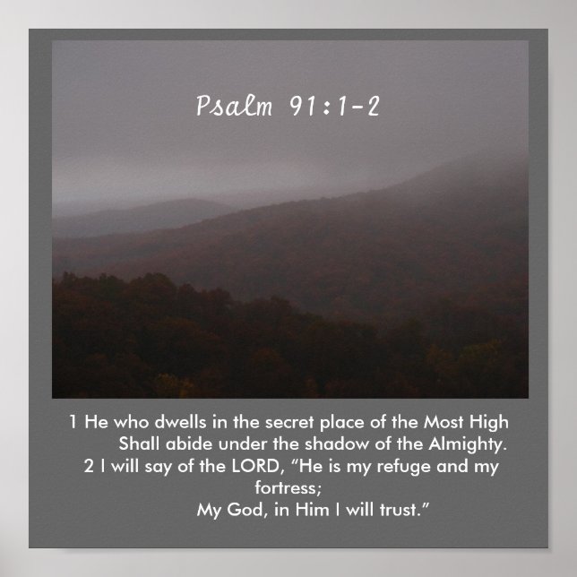 Affiche L'ombre (Devant)