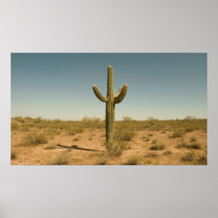 Affiche Lone Cactus