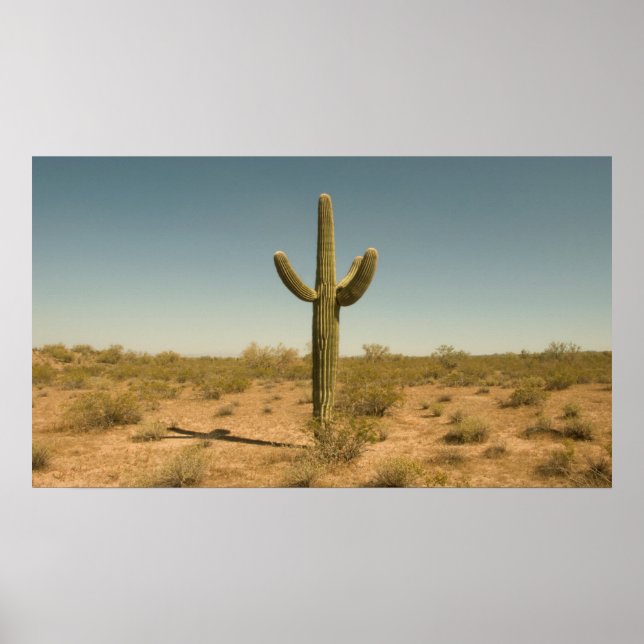 Affiche Lone Cactus (Devant)