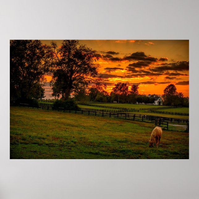Affiche Lone horse at sunset (Devant)